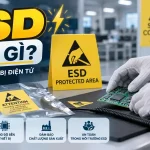 ESD là gì?