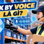 Pick by voice