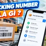 Tracking number là gì?